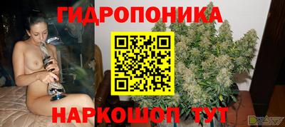 стаф Краснознаменск