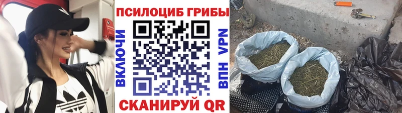 хочу наркоту  МЕГА онион  Псилоцибиновые грибы Psilocybine cubensis  Хабаровск 