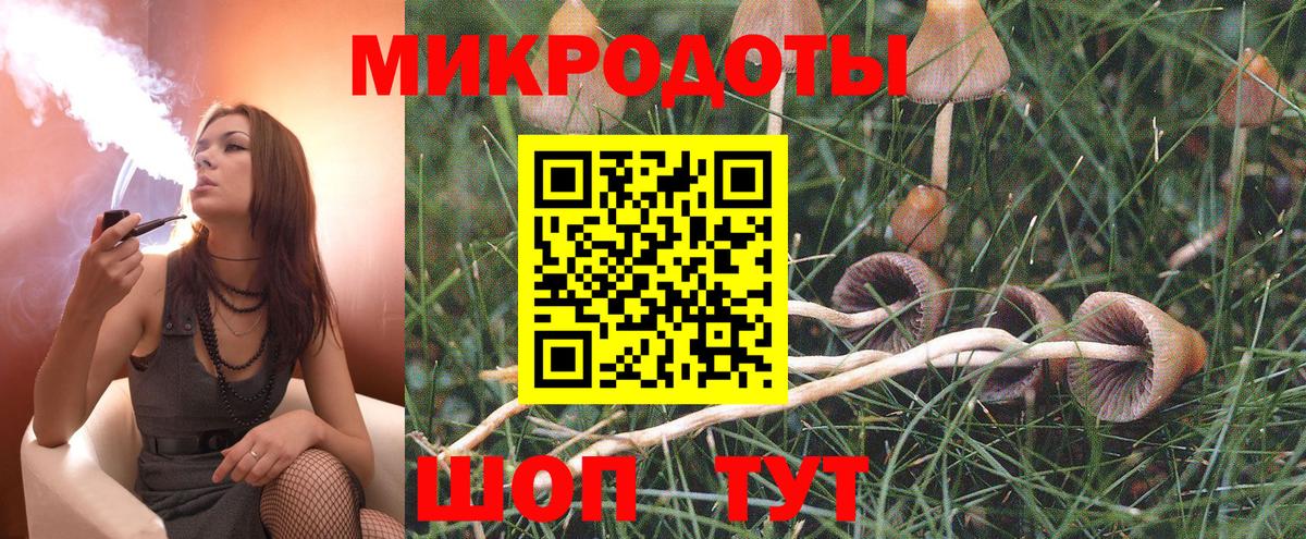 Галлюциногенные грибы мицелий  Псилоцибиновые грибы мицелий  как найти закладки  Вход с VPN  Хабаровск 