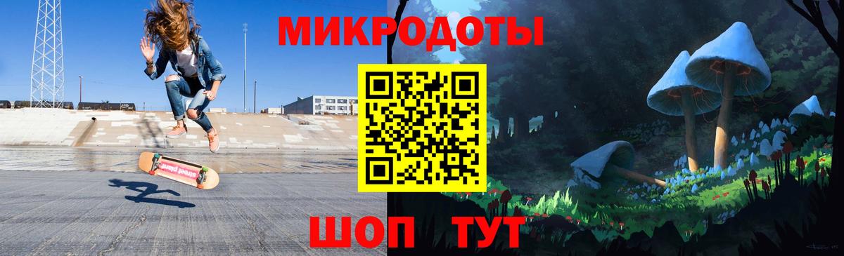 Галлюциногенные грибы Psilocybe Хабаровск